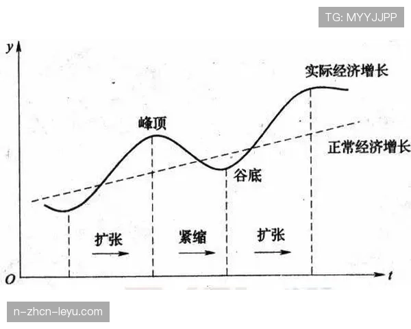 球员表现周期性波动背后的生理解释,球队状态周期